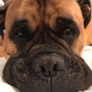 Meet your Posher, Maria